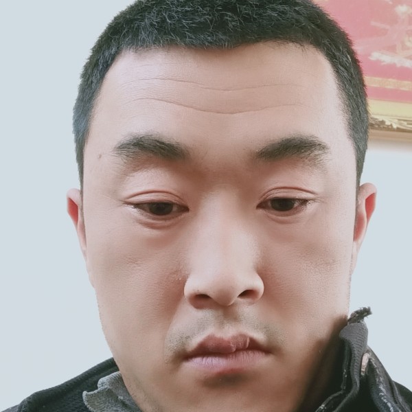 剪影改变干净的照片
