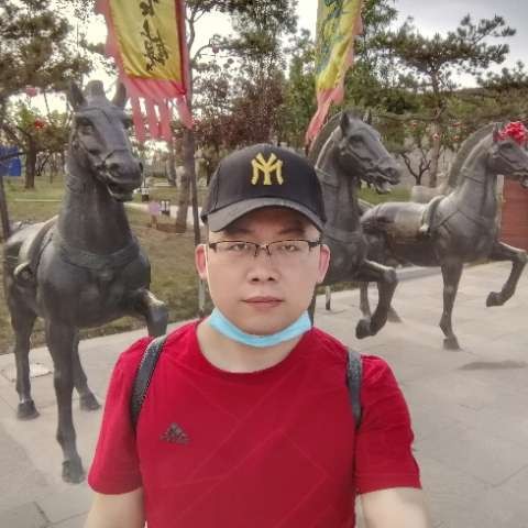 超级的向日葵的照片