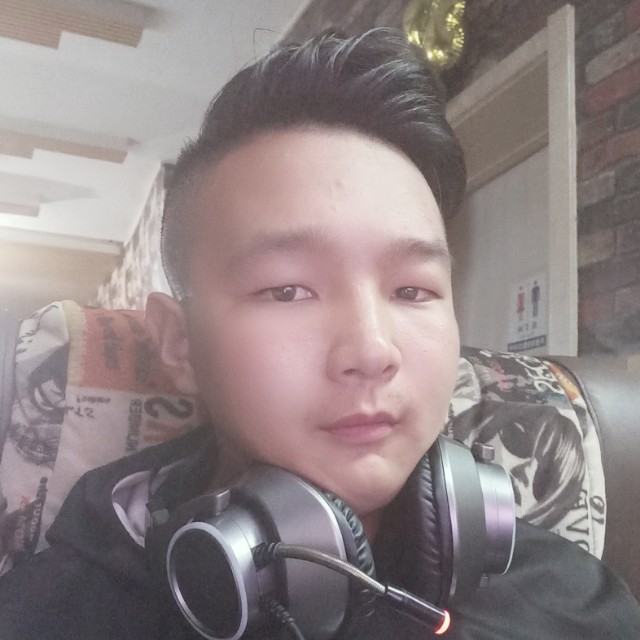 小海豚友好的照片