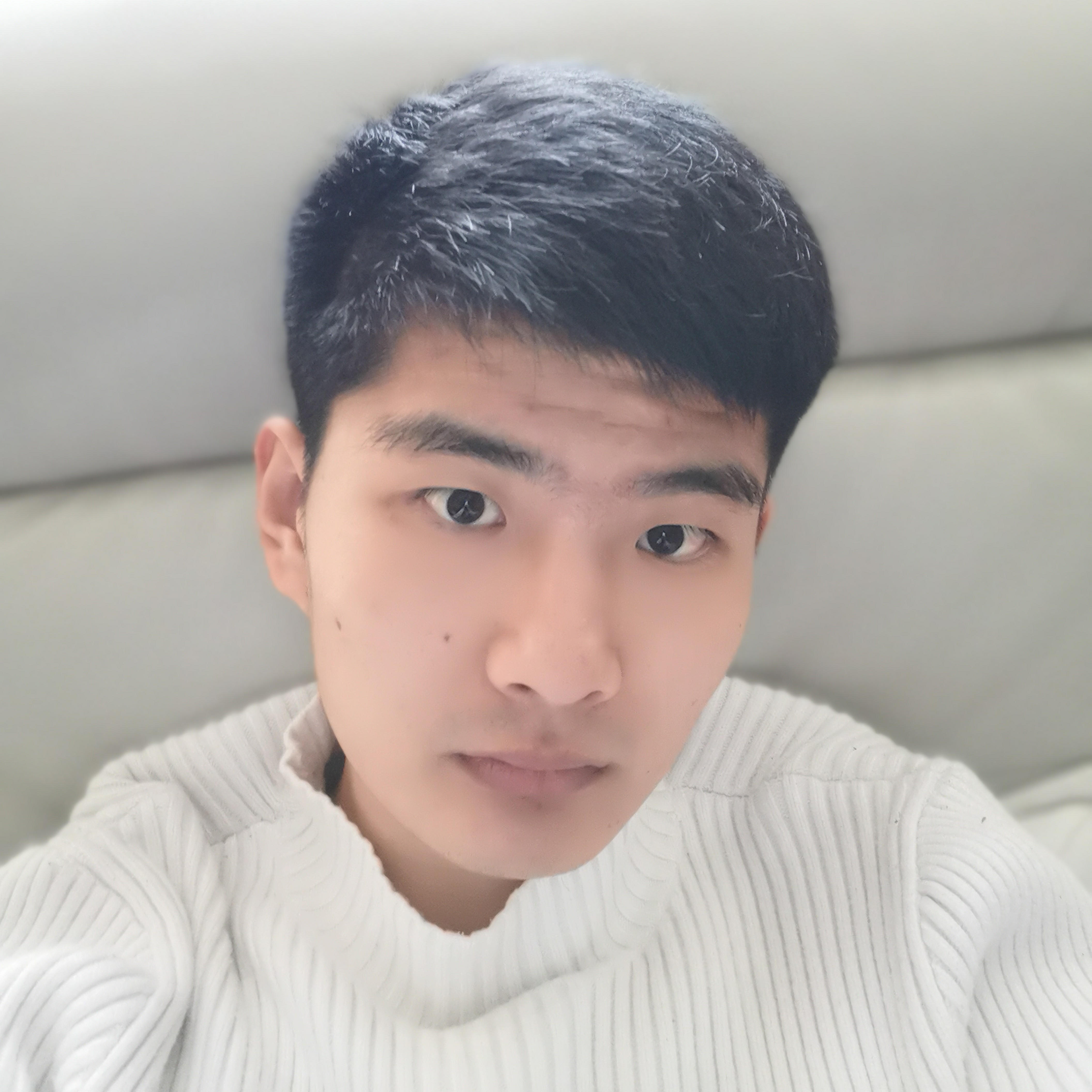 灰狼倾心彼年的照片