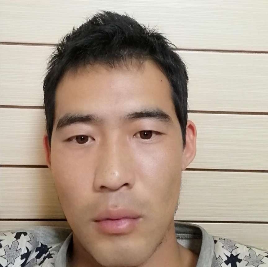 欣慰倾心翅膀的照片