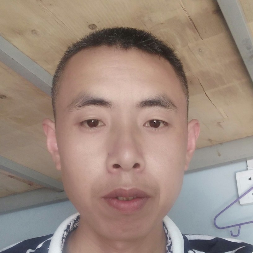 孤独等于紫菜的照片