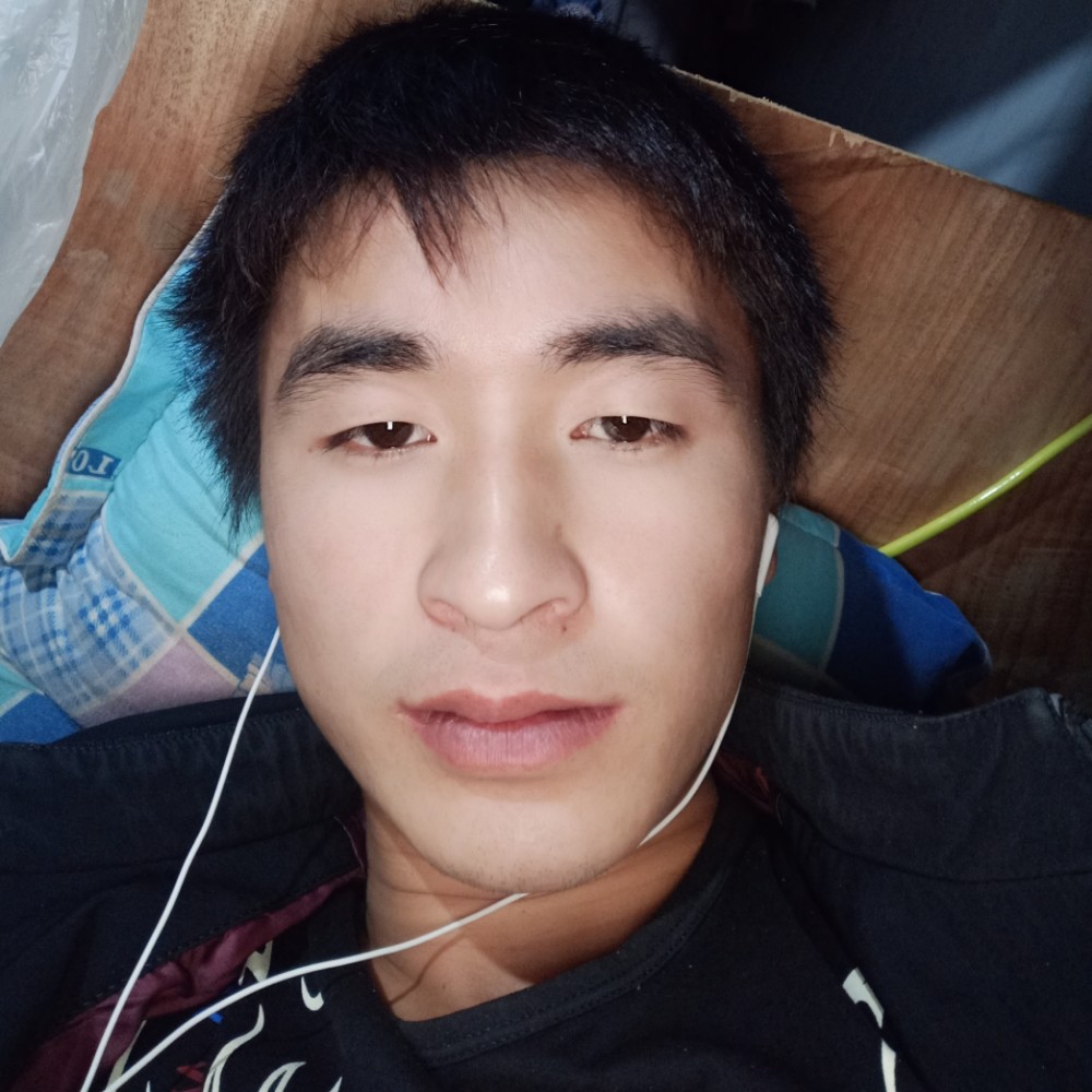 南鸢务实的照片