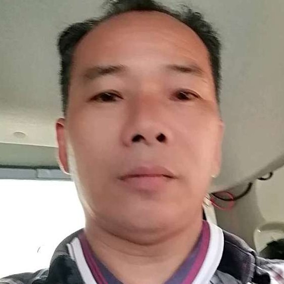 小鸭子谦让的照片