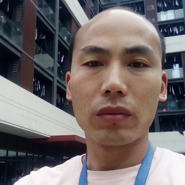 激情含羞草的照片