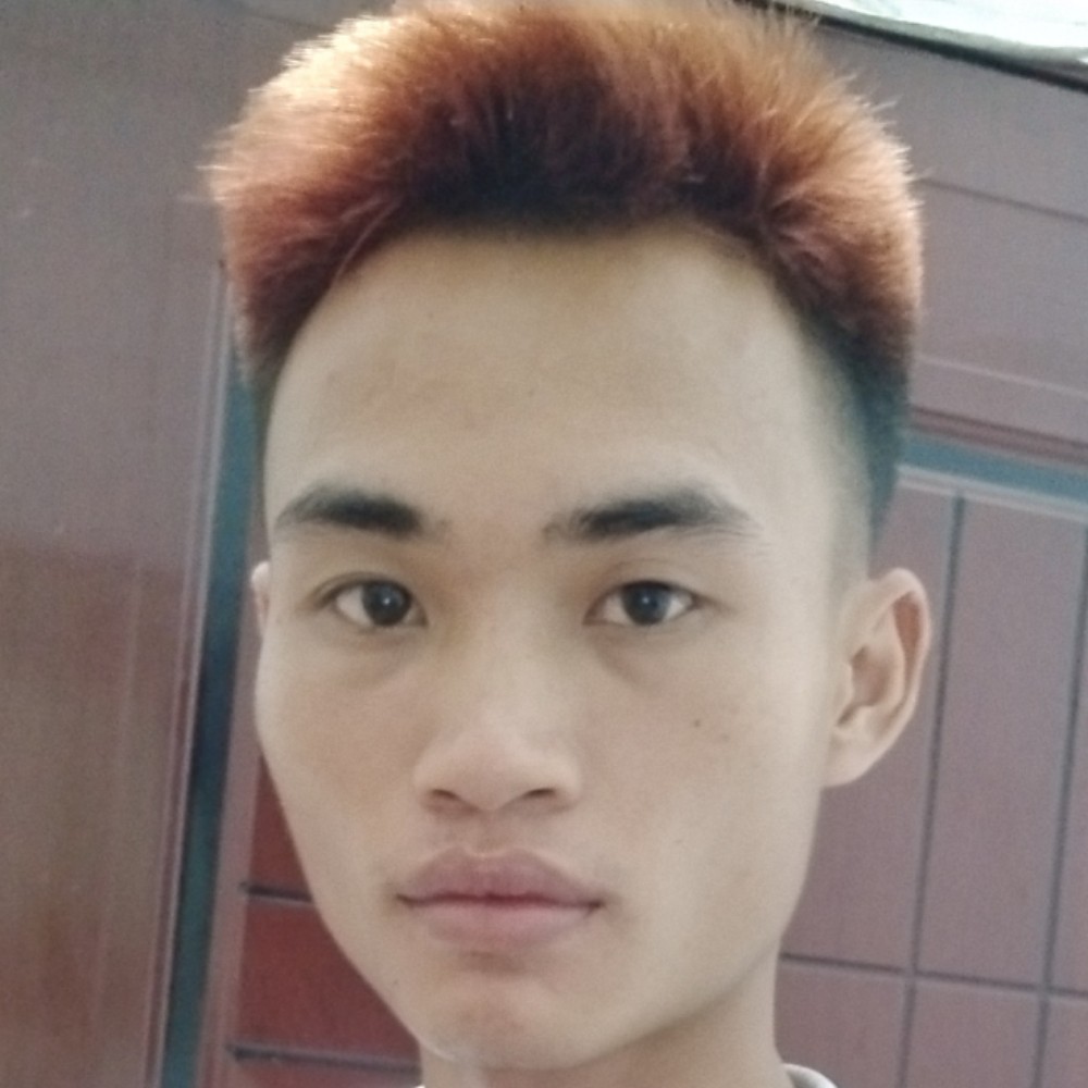 梦之泪情的照片