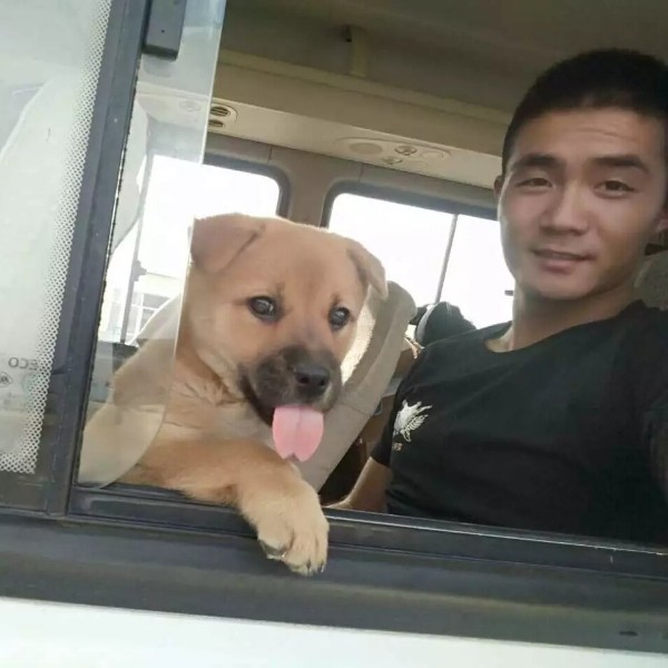 深海鱼的照片
