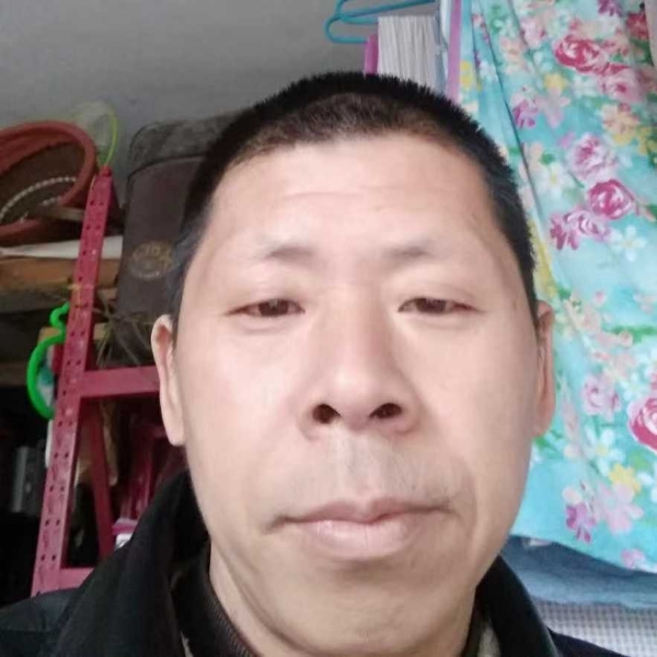 小刺猬就多情的照片