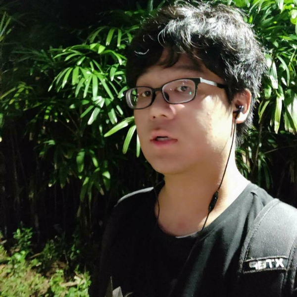 微风中追忆的照片