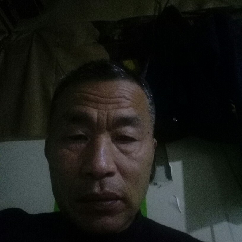 翩飞毛豆的照片