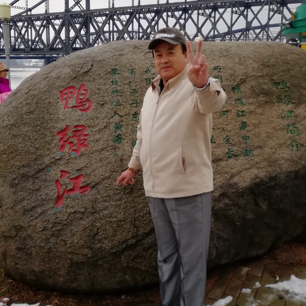 大树感性的照片