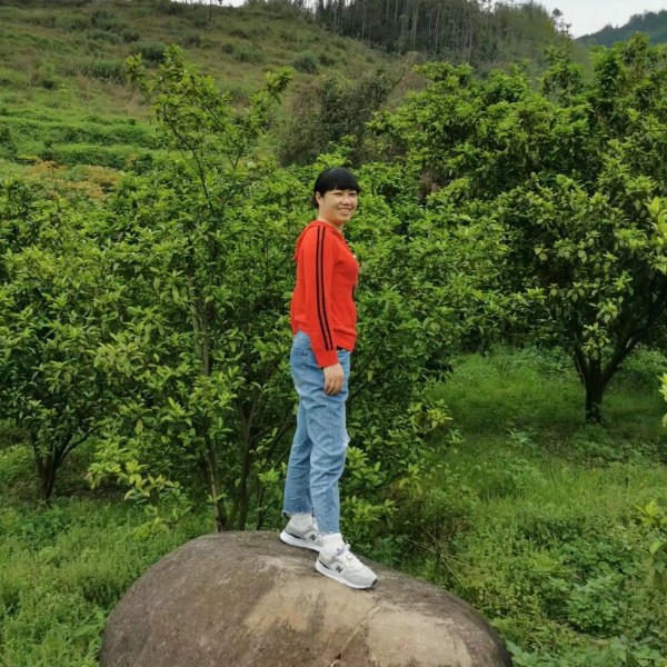 杨桦的照片