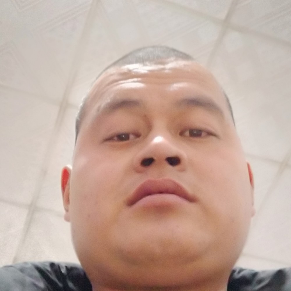 转移的照片