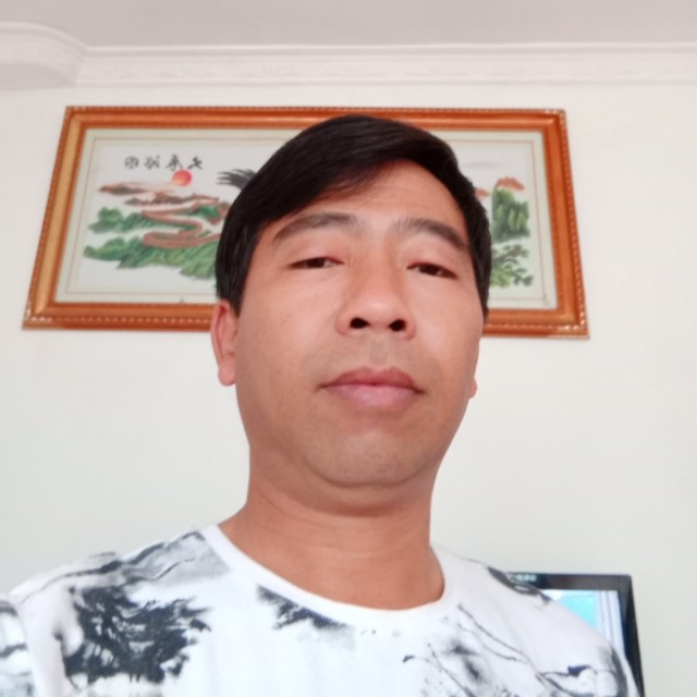 玉米激情的照片