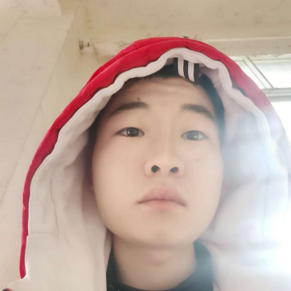 明媚停止鲜花的照片