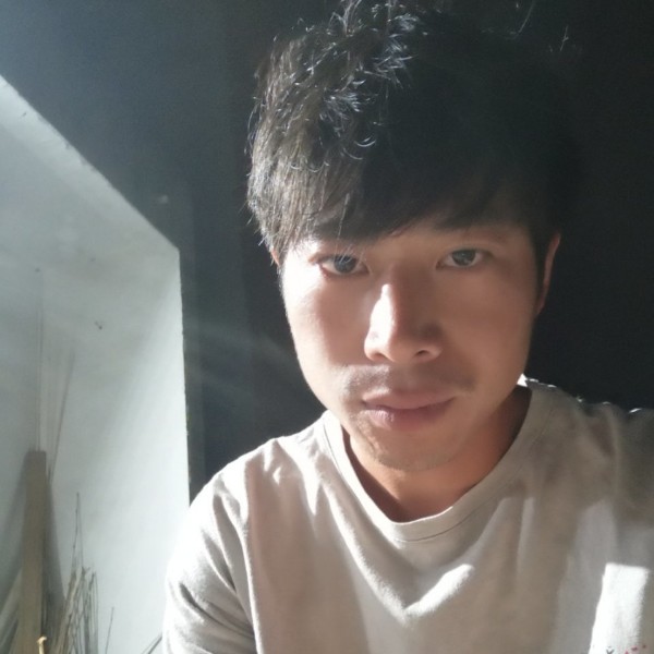 优美的棒棒糖的照片