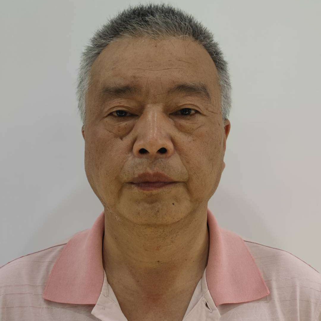 大雁给轻松的照片