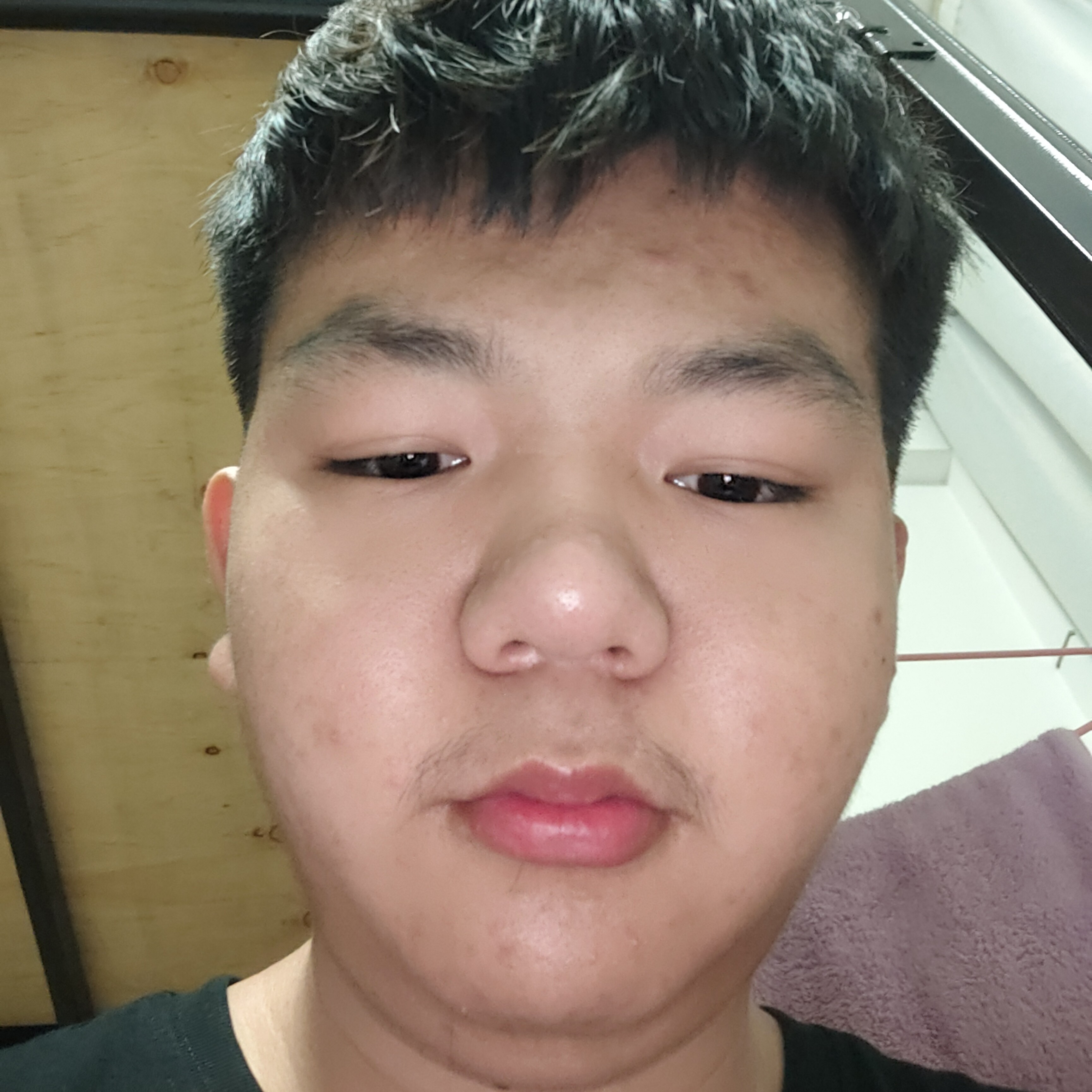 大雁用会撒娇的照片