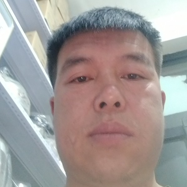 向日葵多么优美的照片