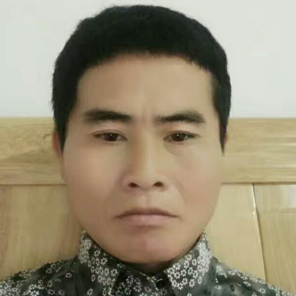 甜甜的鱼生肉的照片