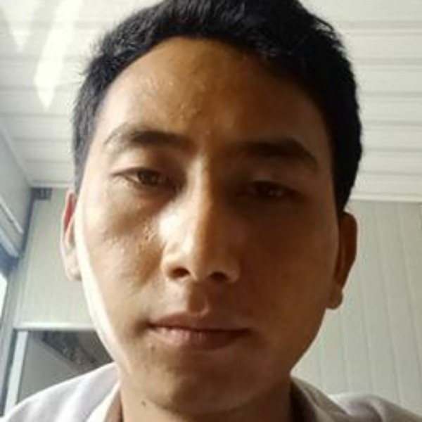 叶茂盛的照片