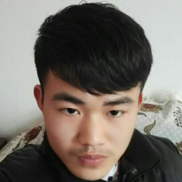 a小柯基的照片