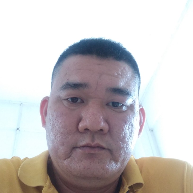 画笔那典雅的照片