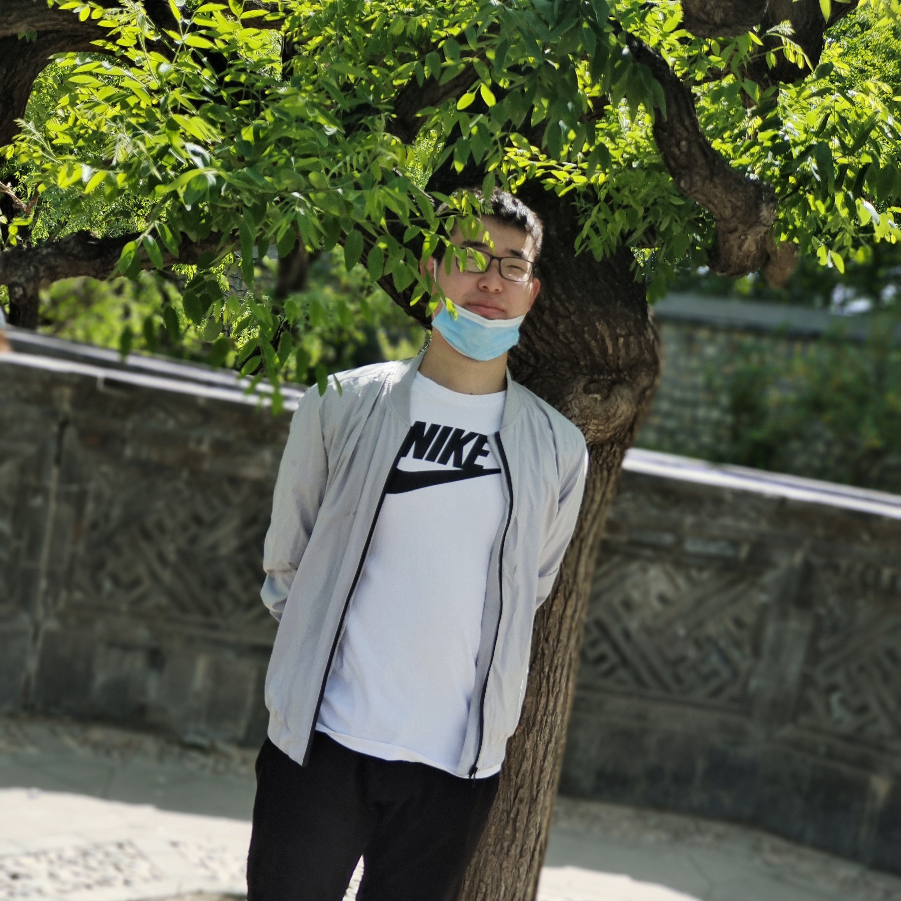 明理灰狼686的照片