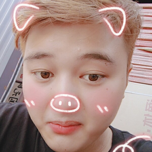 呆瓜。的照片