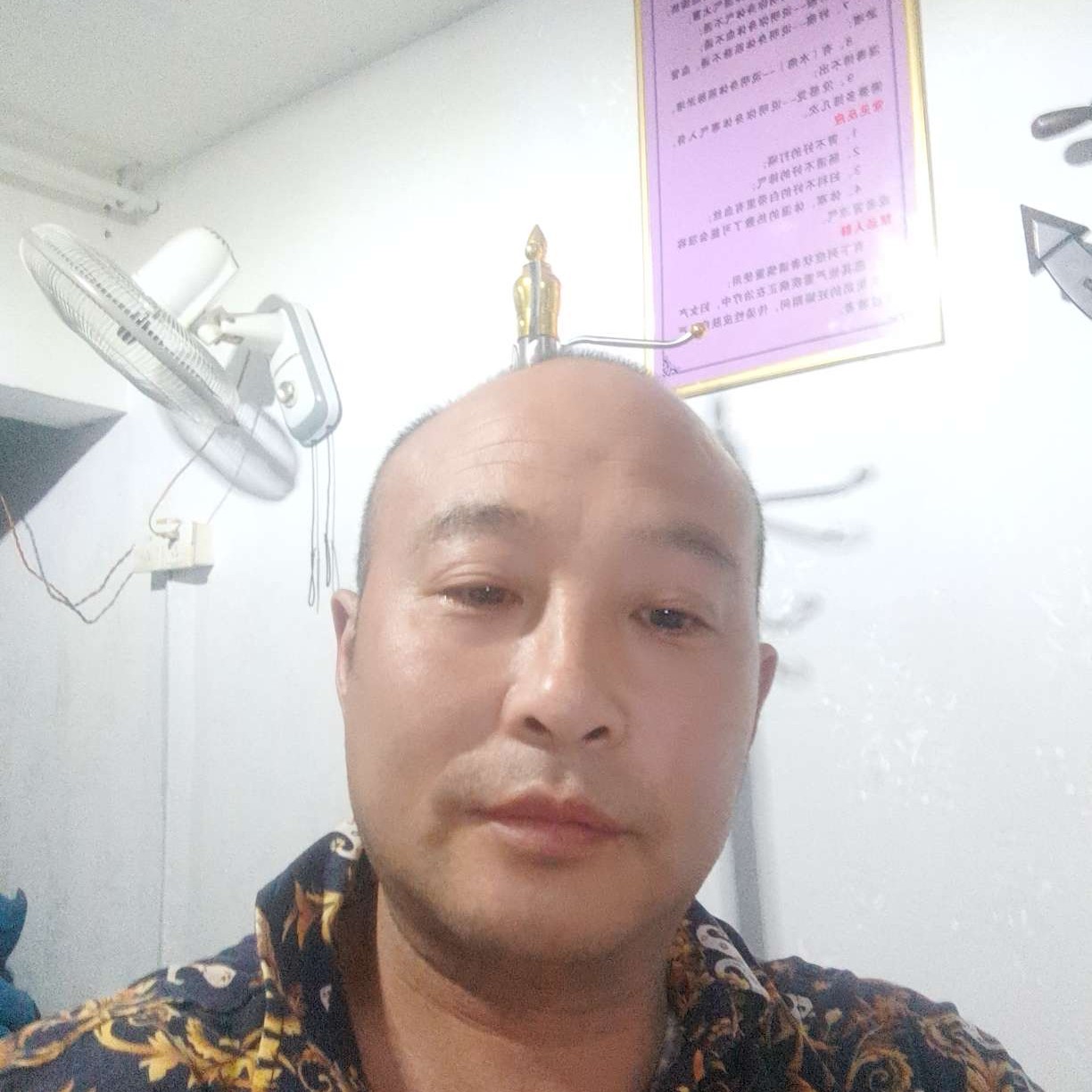 鞋垫危机的照片