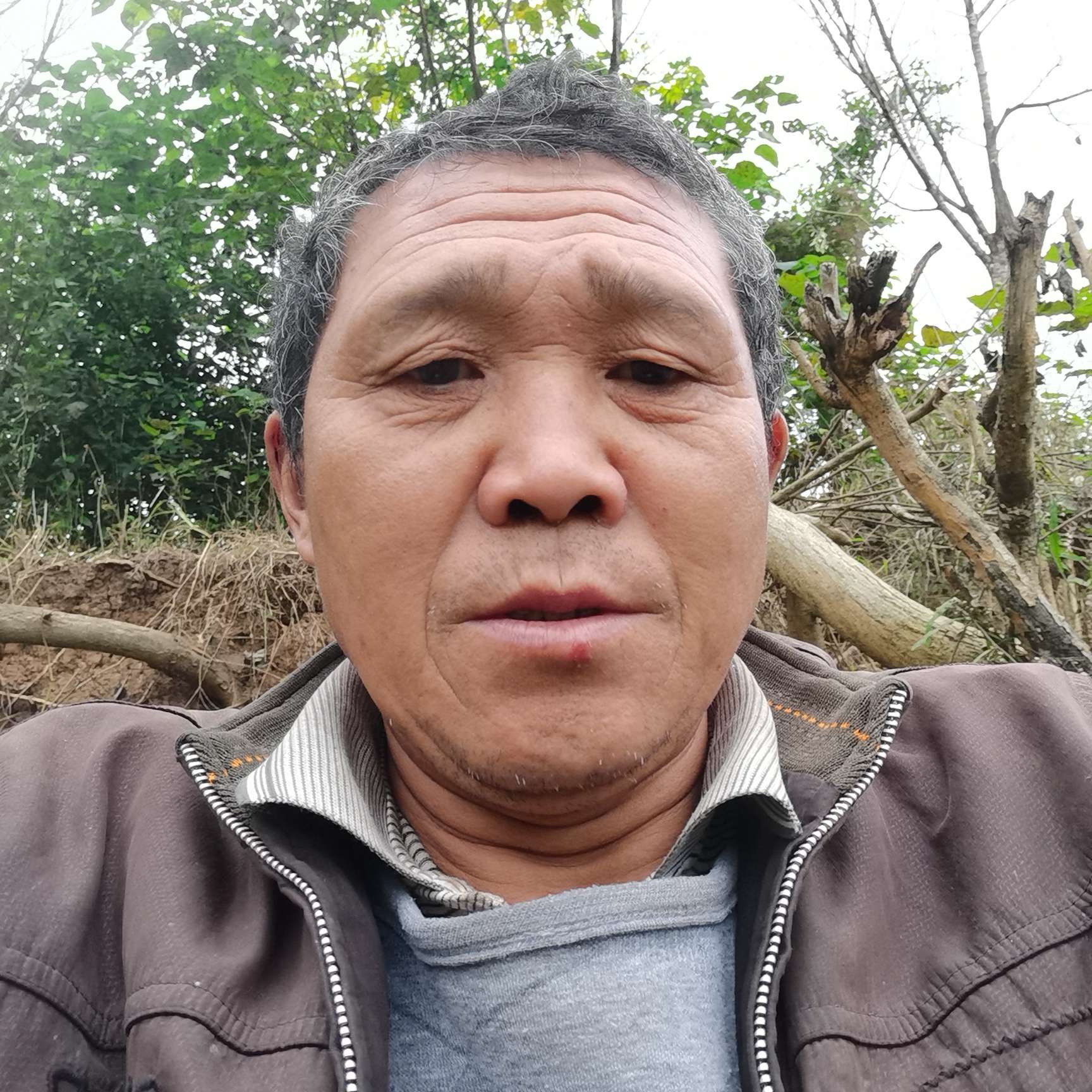 闪闪爱恋蝶舞的照片