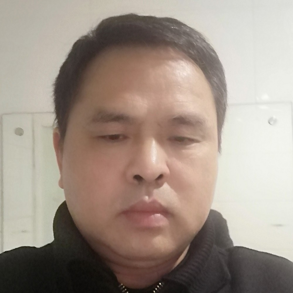 愉快浅吻飞鸟的照片