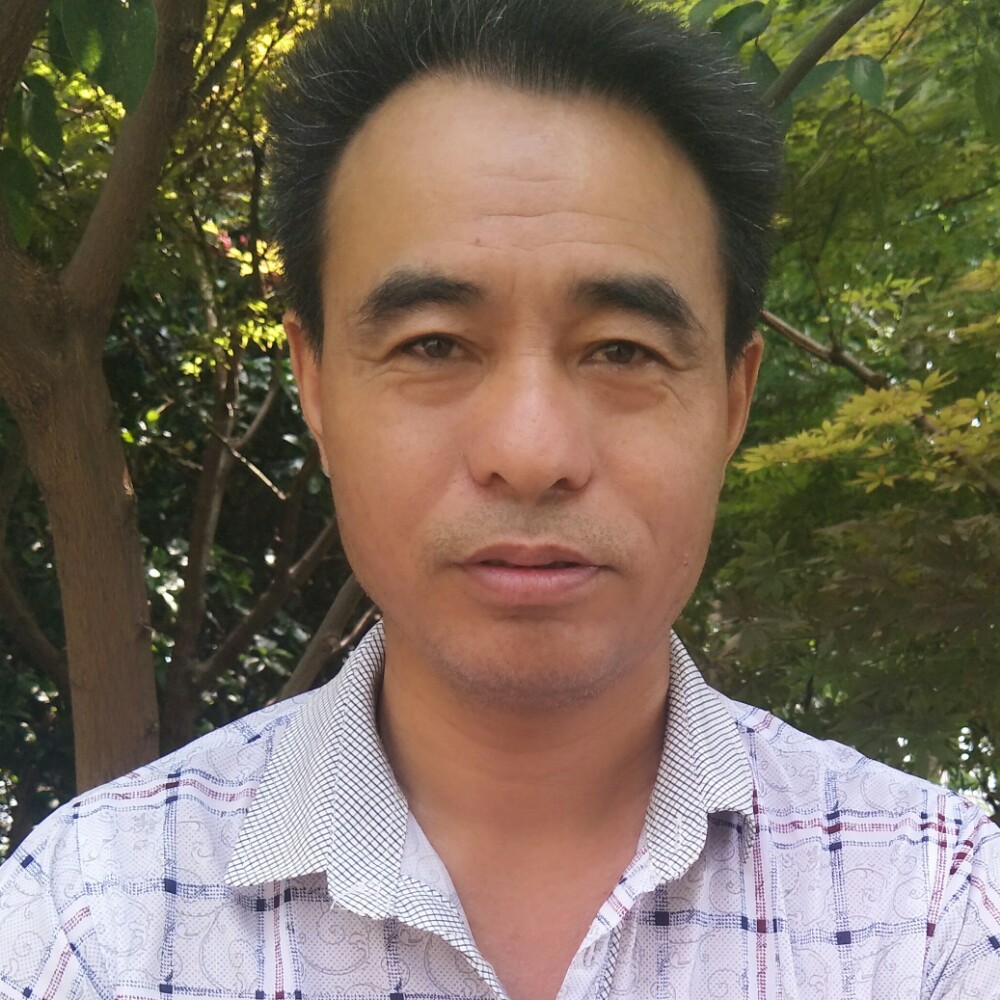 健壮航空的照片