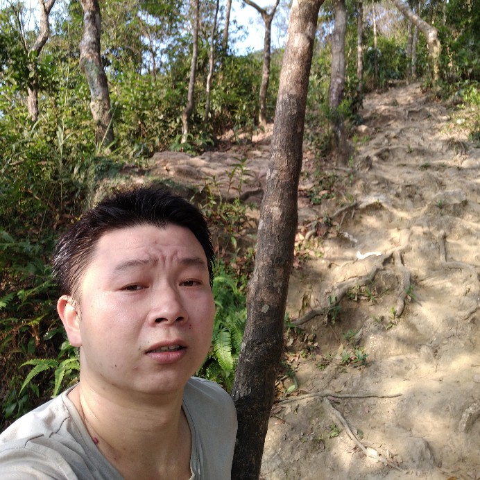 飞的照片
