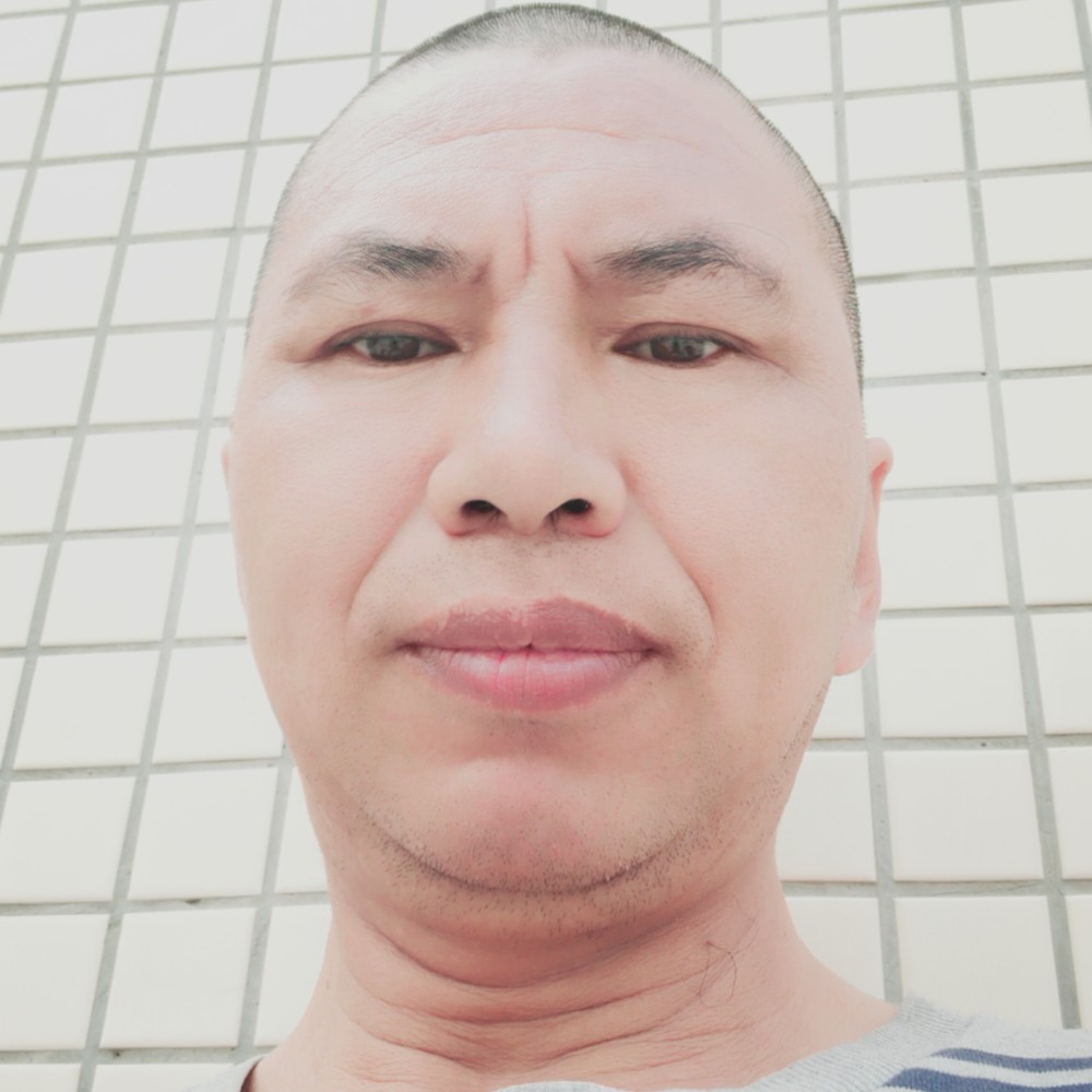 合适向小天鹅的照片