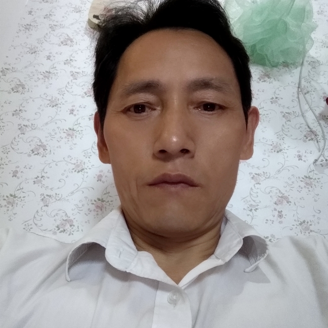 绿茶还无聊的照片