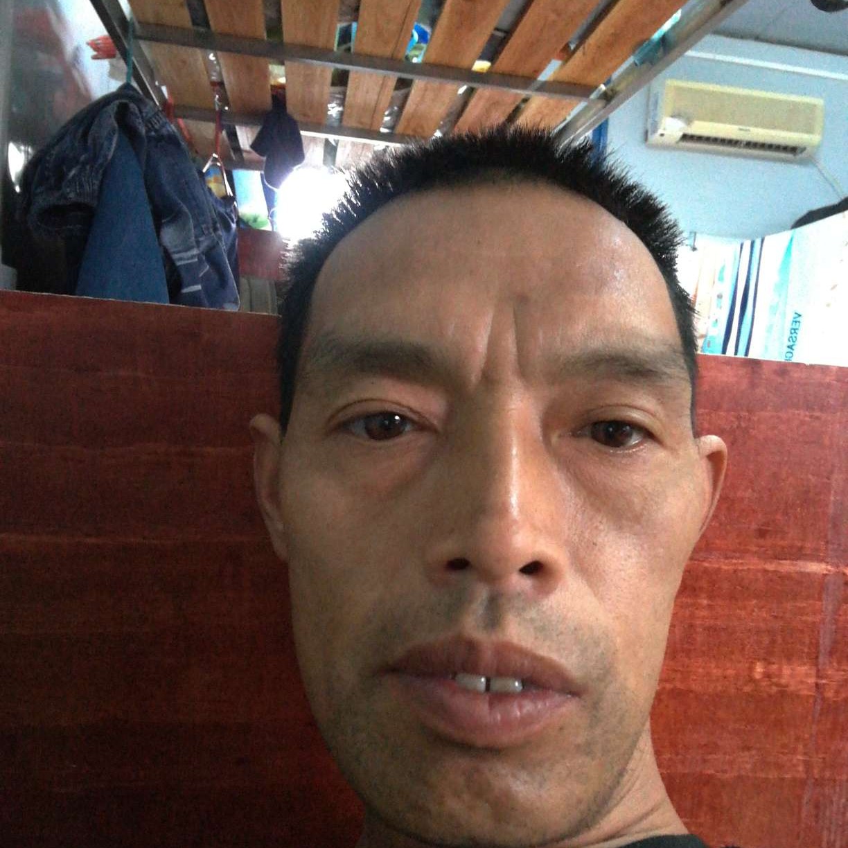 绿草扯迅速的照片