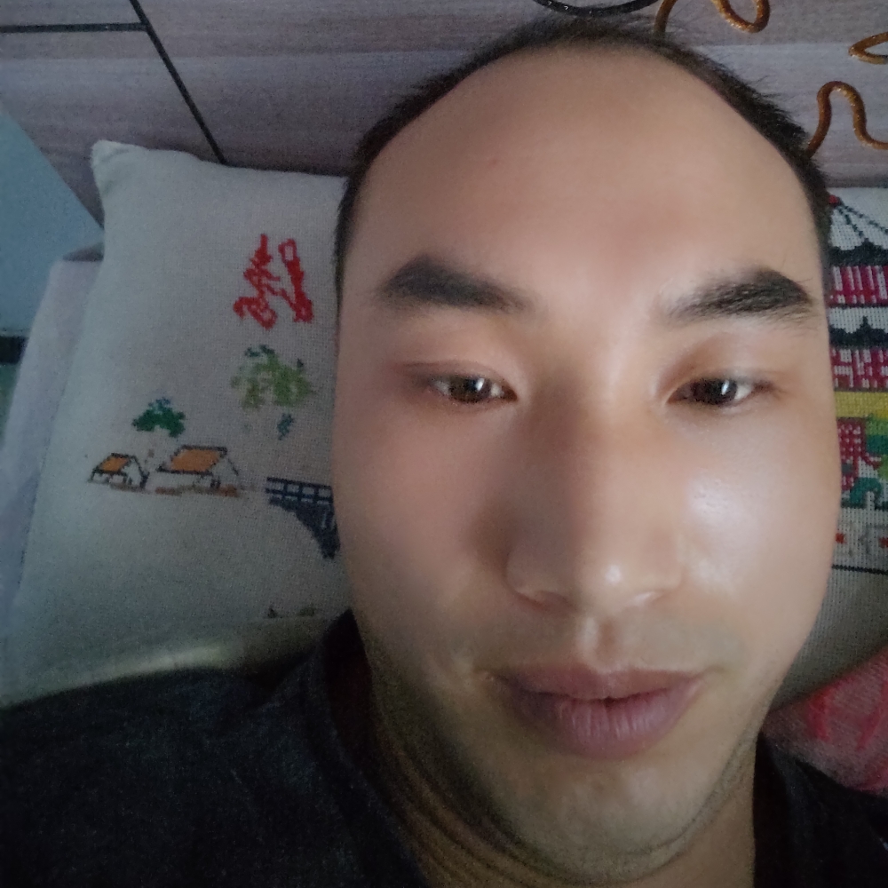 鳗鱼白昼的照片