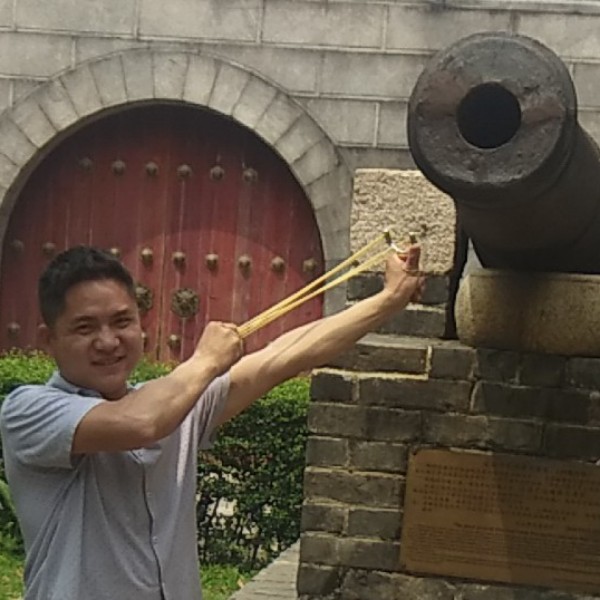 积极漫步狗的照片