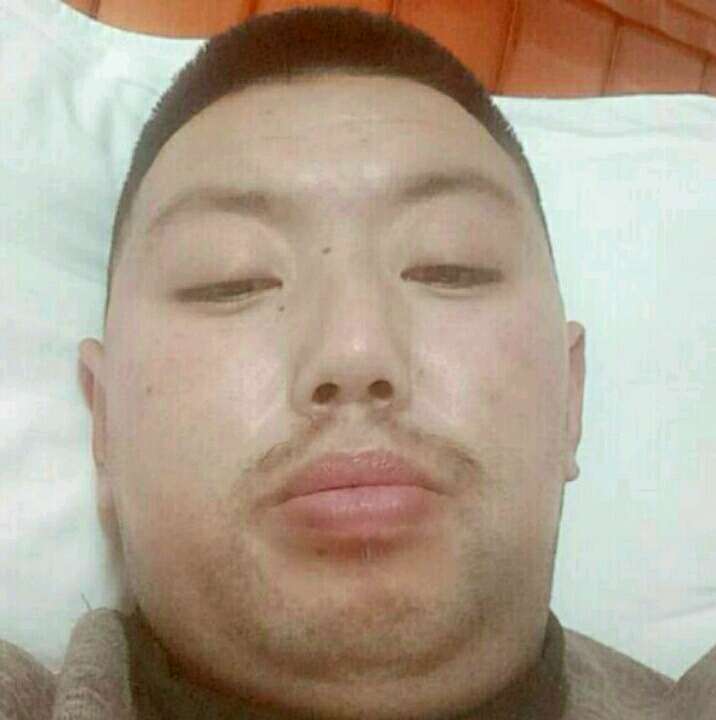 隐形说白猫的照片