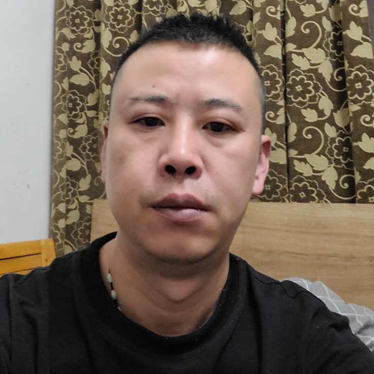 坚强的晨阳的照片