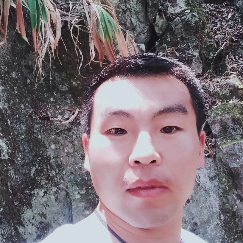 菠萝挽手活力的照片