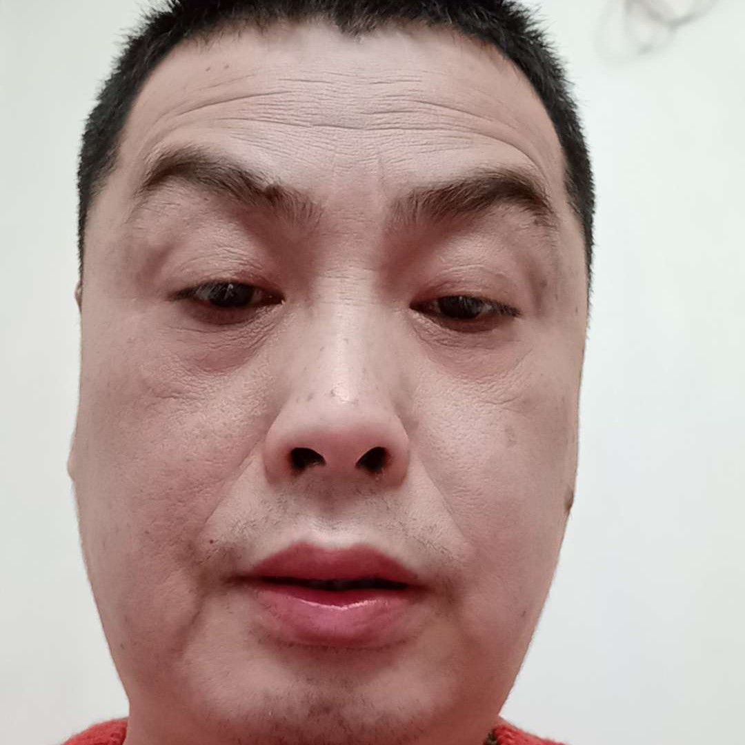小刺猬等待稳重的照片