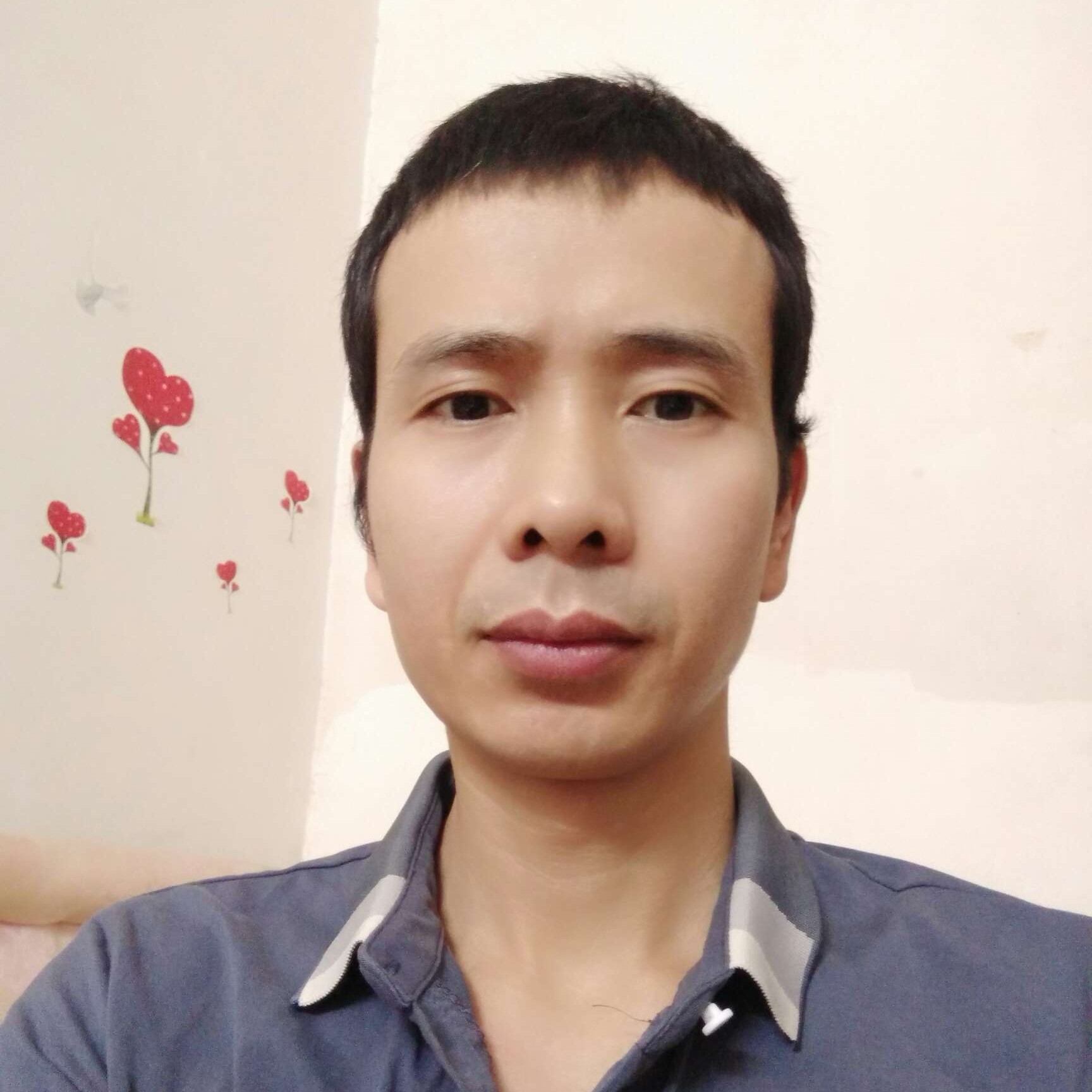 随缘风舞的照片