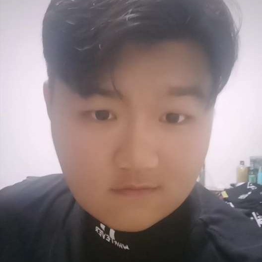 热情的阳光的照片
