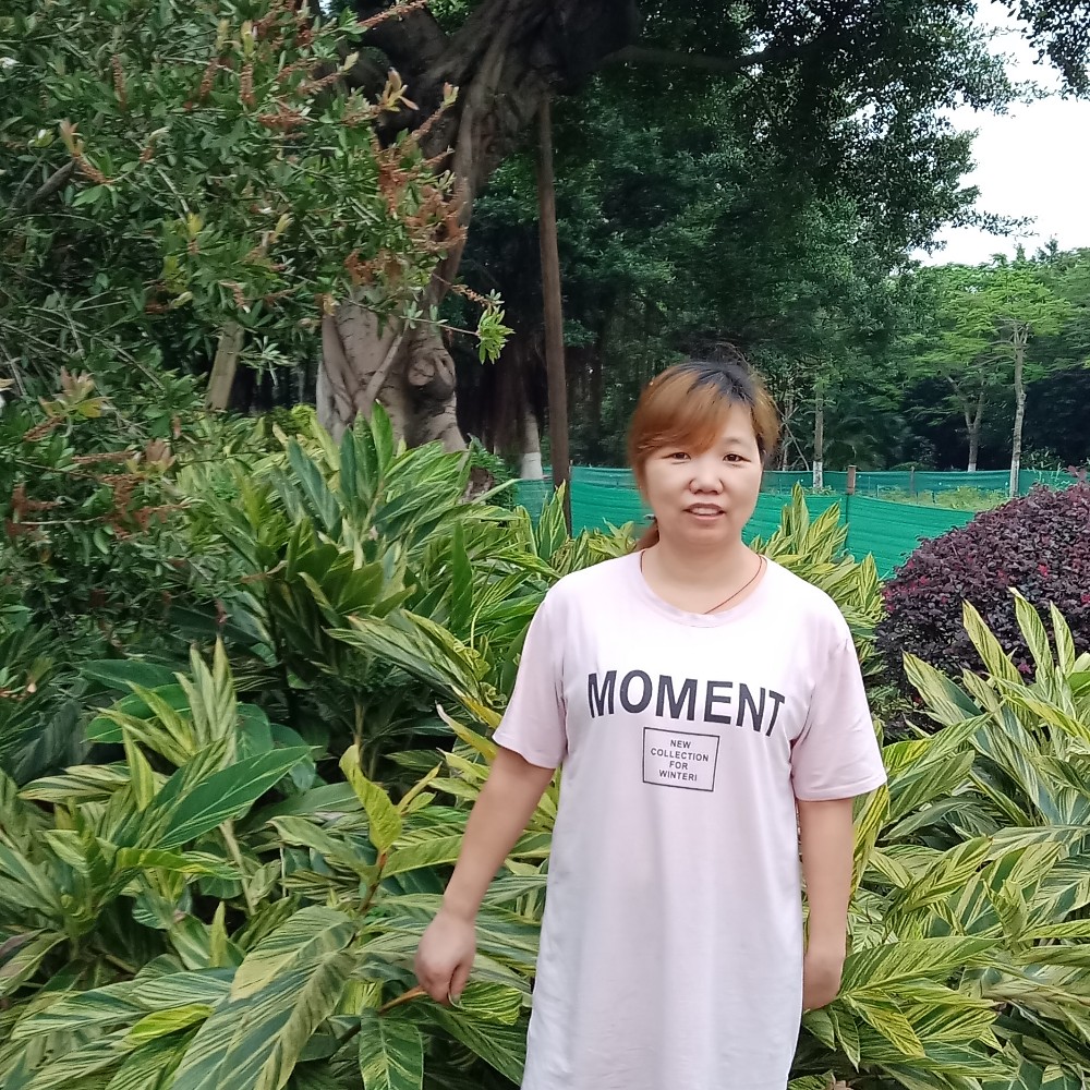 小松鼠安静的照片