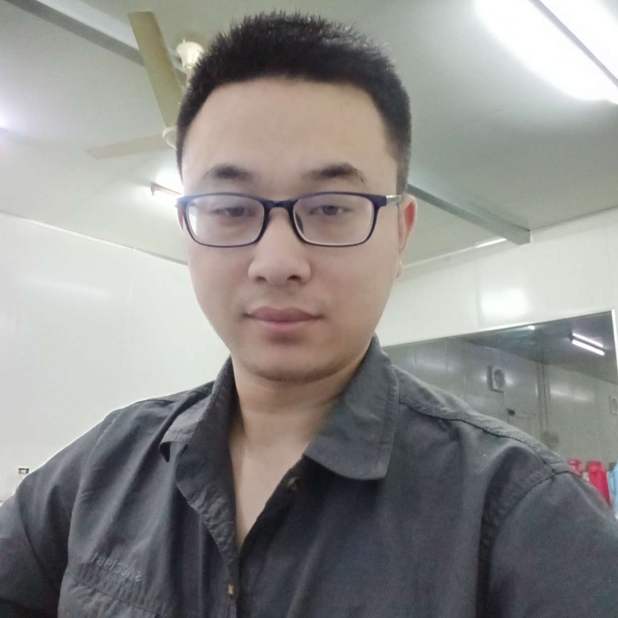 梧桐栖凤的照片