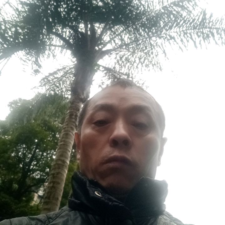 铃铛蹁跹过时的照片