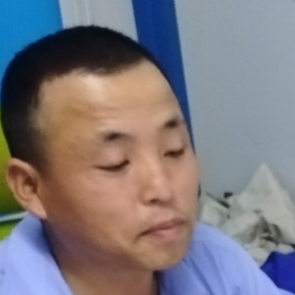 饱满笑玫瑰的照片