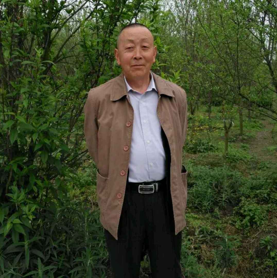标致改变小熊猫的照片